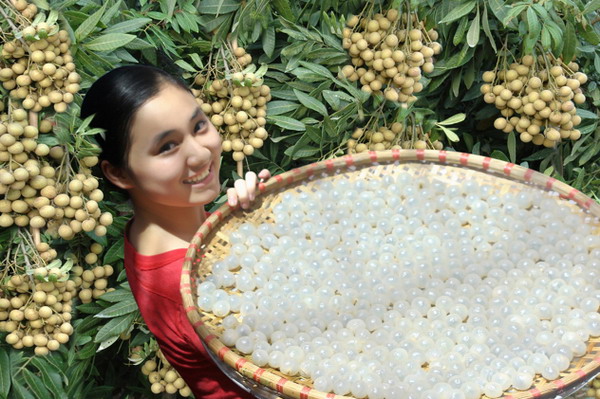 Hình ảnh quê hương Hưng Yên